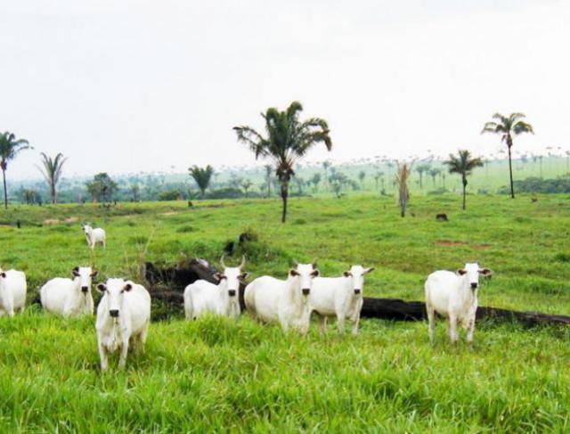 Agroservice